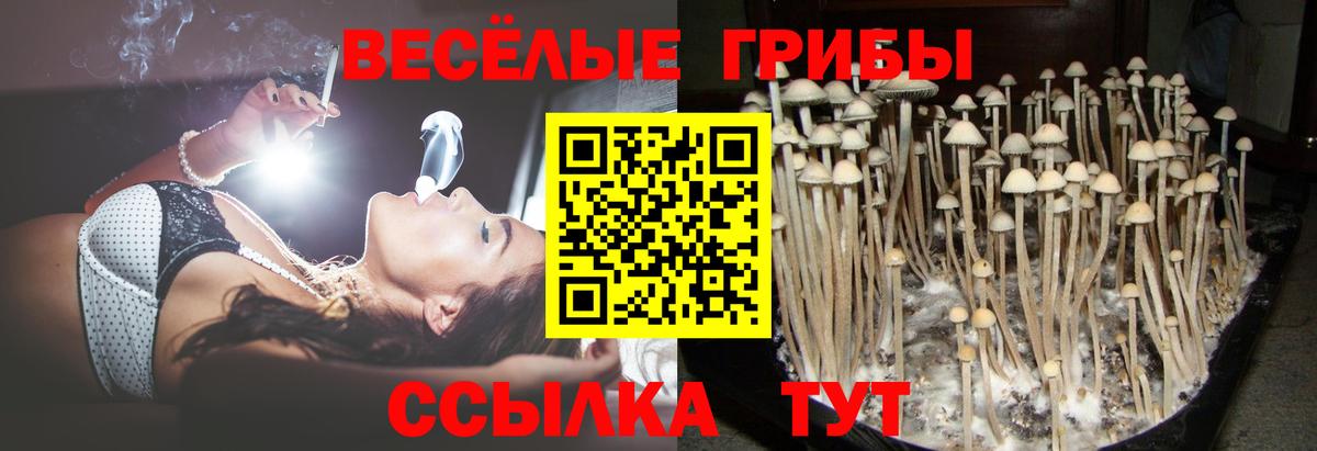 Псилоцибиновые грибы мицелий  Вход с VPN  Алушта  Псилоцибиновые грибы прущие грибы 